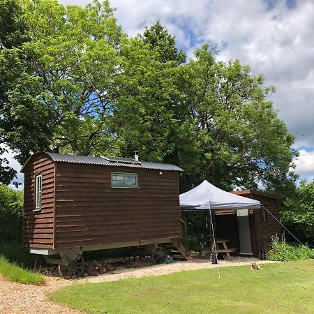 The Shepherds Hut At The Shippen, Tiphayes Honiton Eksteriør bilde