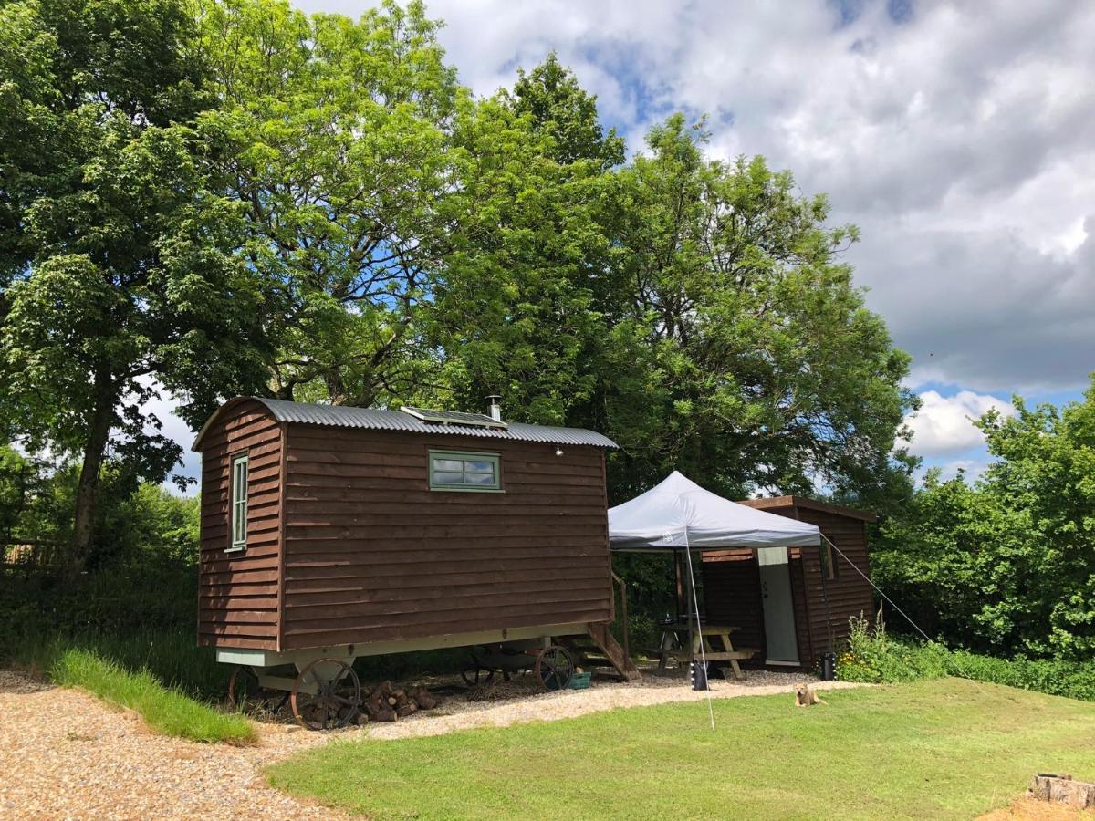The Shepherds Hut At The Shippen, Tiphayes Honiton Eksteriør bilde